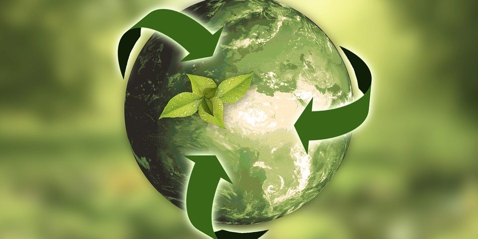 sustainability