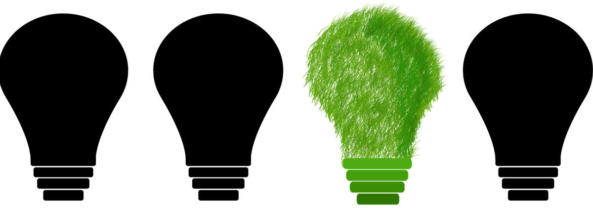 sustainability in the corporate environment