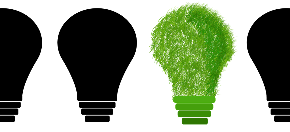 sustainability in the corporate environment