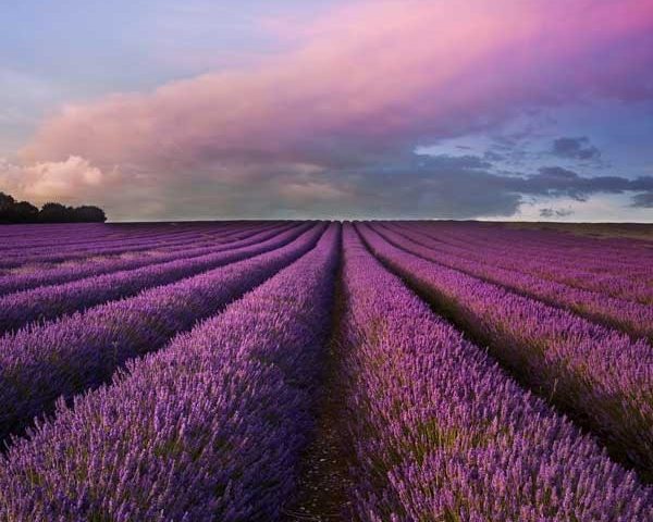 gallery wrapped canvas wall art