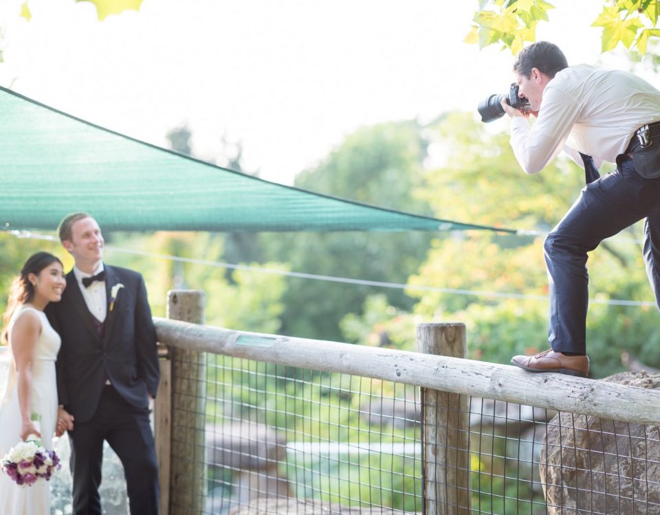 wedding photographers