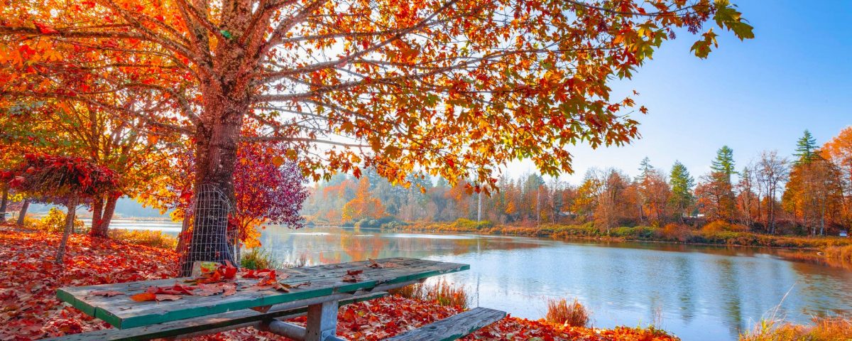 sustainable business practices