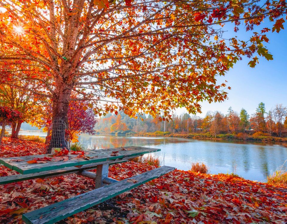 sustainable business practices