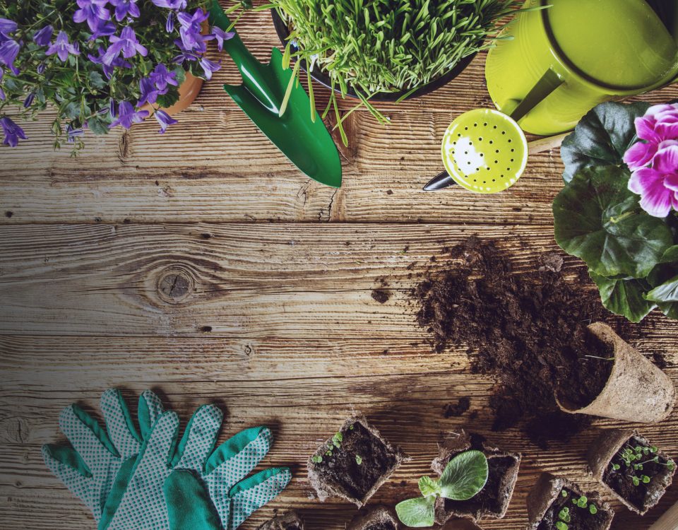 vintage-inspired plant stakes